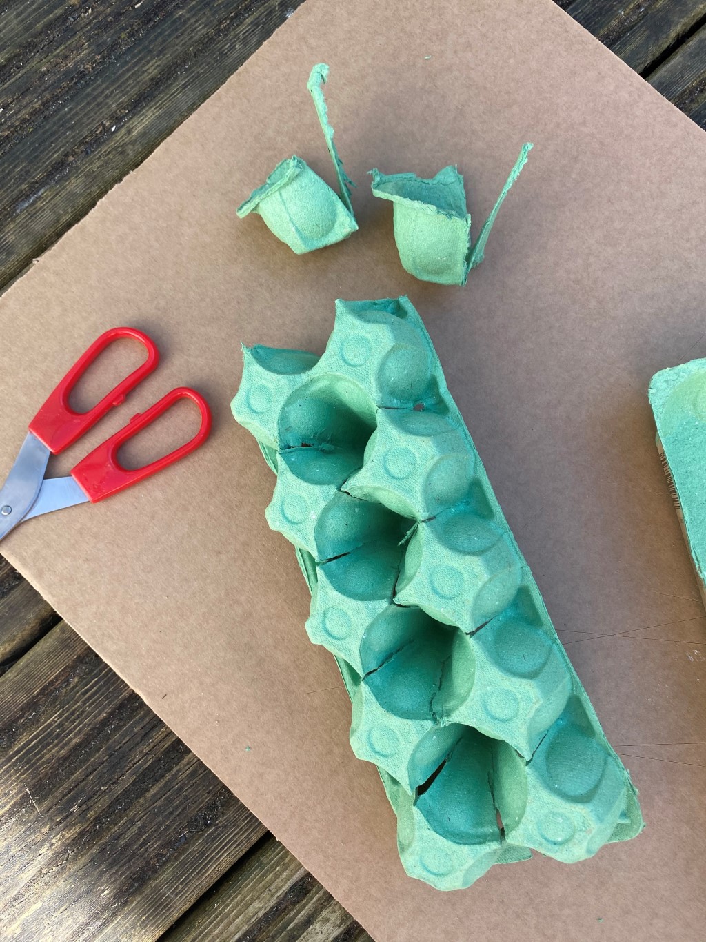 Create with Camp Beaumont Egg Box Succulent Plants