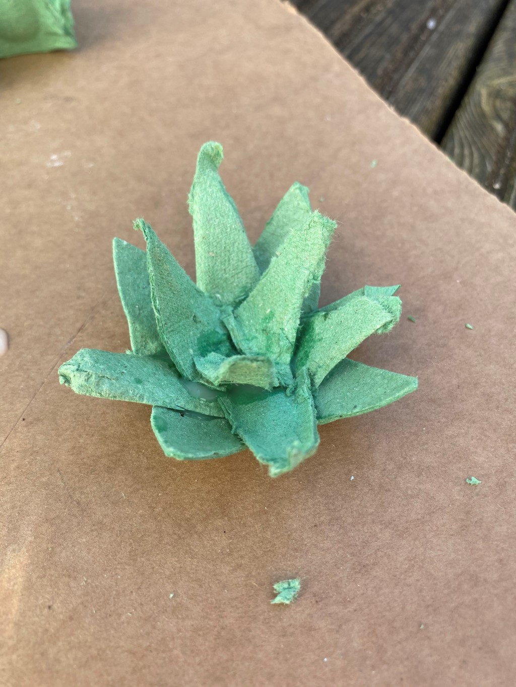 Create with Camp Beaumont Egg Box Succulent Plants